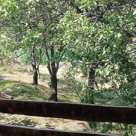 Hotel Mesxta Nakalakevi Zewnętrze zdjęcie