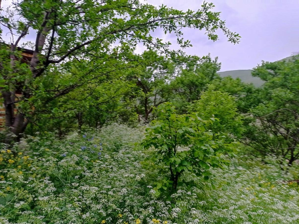 Hotel Mesxta Nakalakevi Zewnętrze zdjęcie