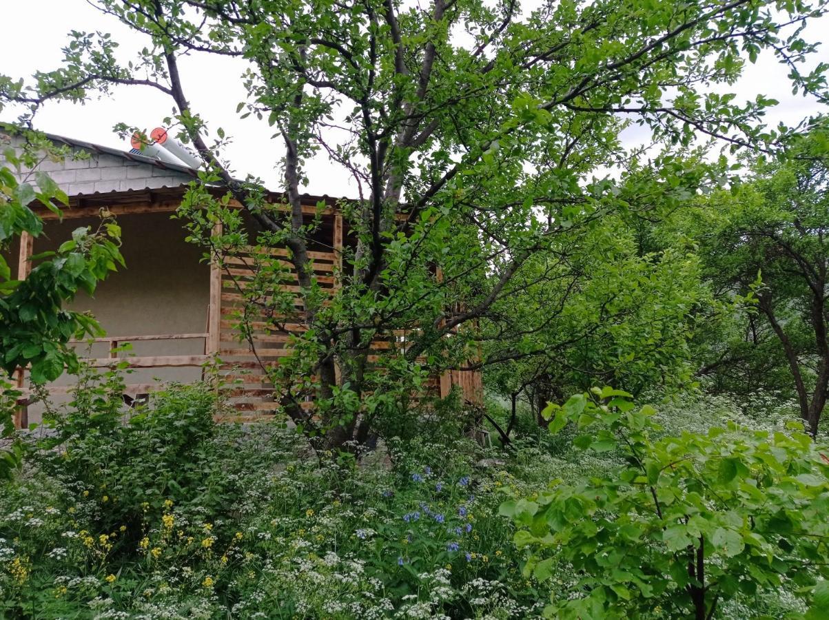 Hotel Mesxta Nakalakevi Zewnętrze zdjęcie