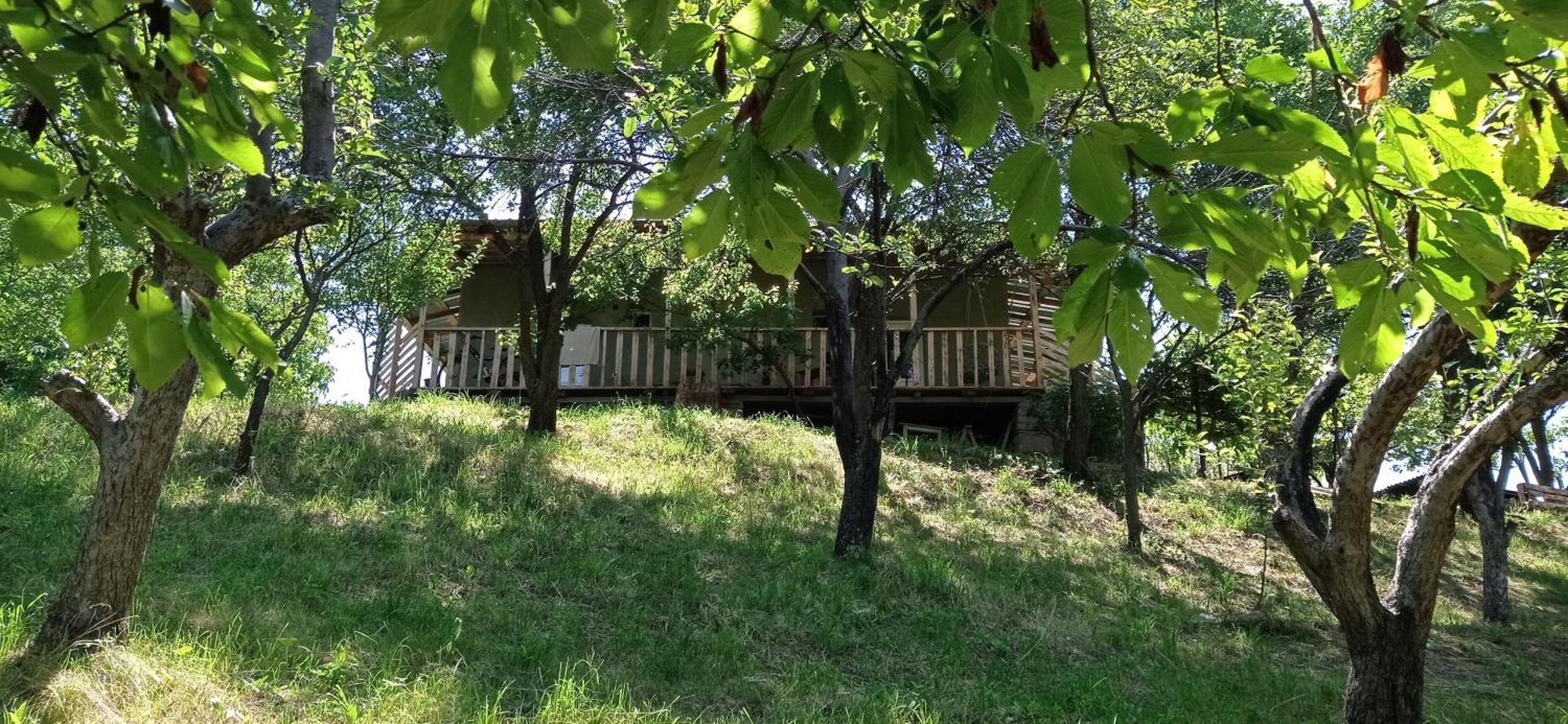 Hotel Mesxta Nakalakevi Zewnętrze zdjęcie