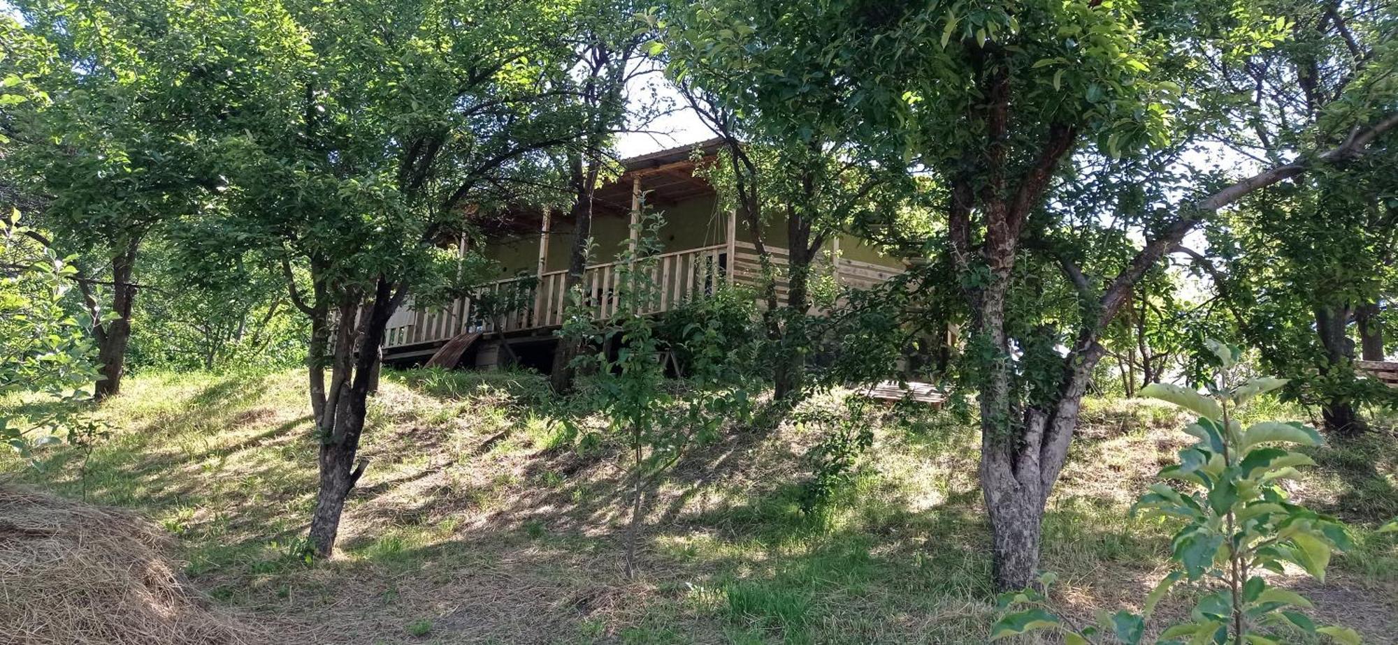 Hotel Mesxta Nakalakevi Zewnętrze zdjęcie