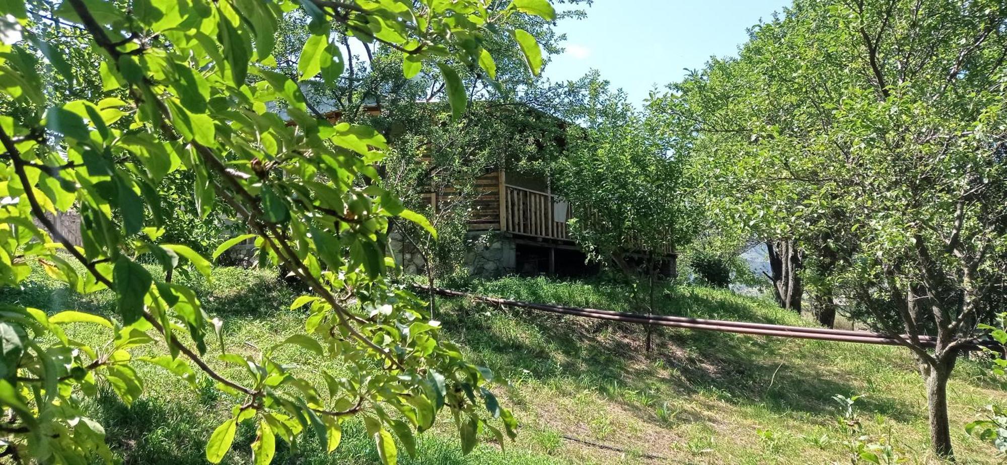 Hotel Mesxta Nakalakevi Zewnętrze zdjęcie